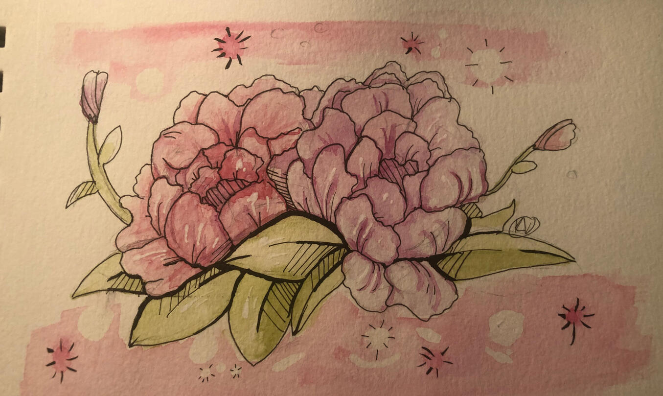 Peonies are my Favorite